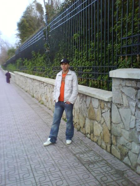 ��� ���� ����� ���