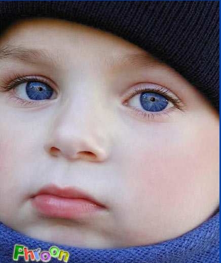 ����� .. ����