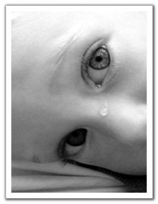 �������������������������